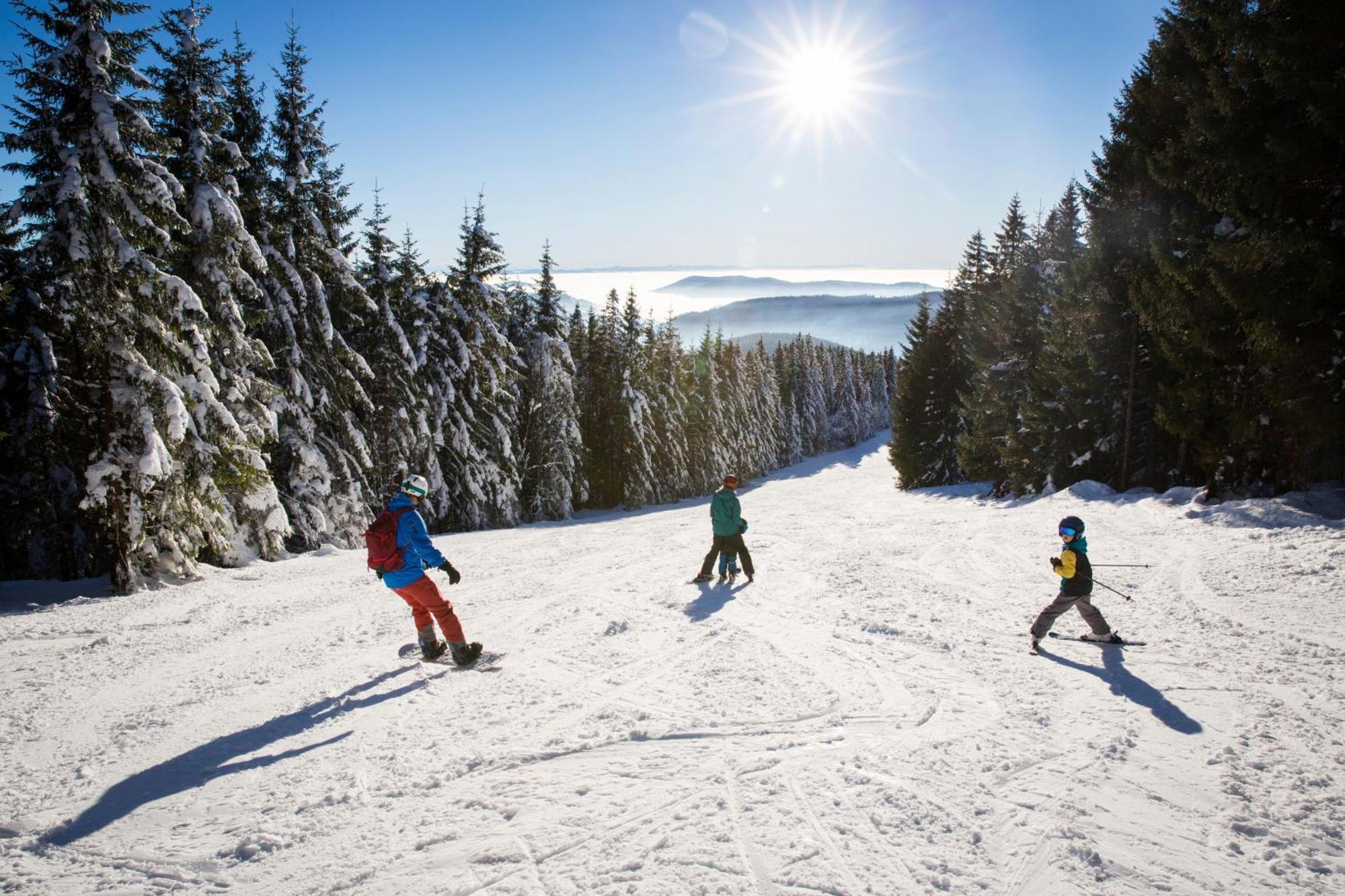 Haus Wiesenquelle - Fewo 14 "Timeout", Feldberg Rinken ภายนอก รูปภาพ